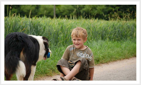 Projekte tiergesttzte Therapie und Pdagogik